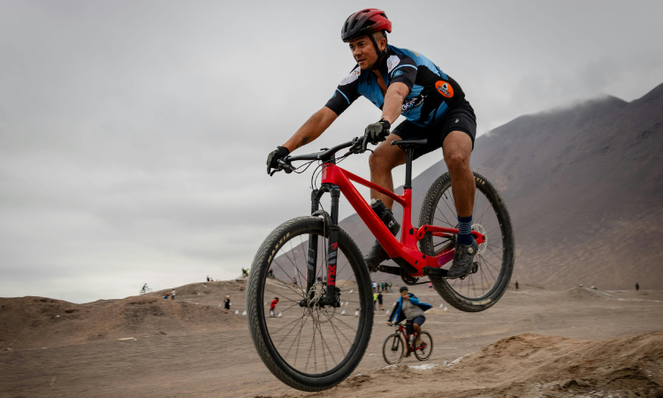 BEST MOUNTAIN BIKES
